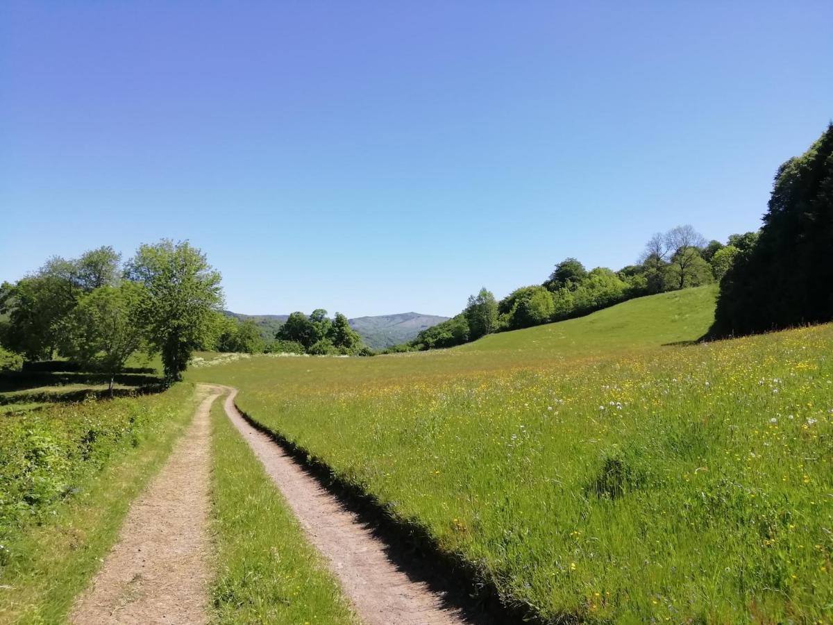 Maison A La Campagne Au Coeur Du Cantal Dept 15 Marmanhac 외부 사진